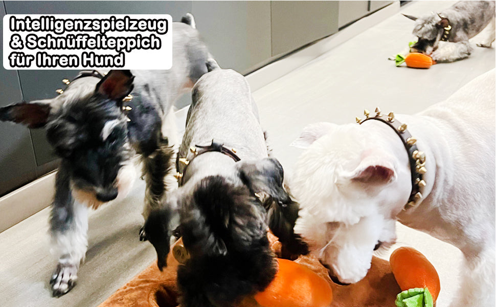 Karottenfarm das Interaktive Schnüffelspiel