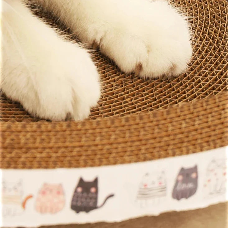 Interaktives Kratzbett